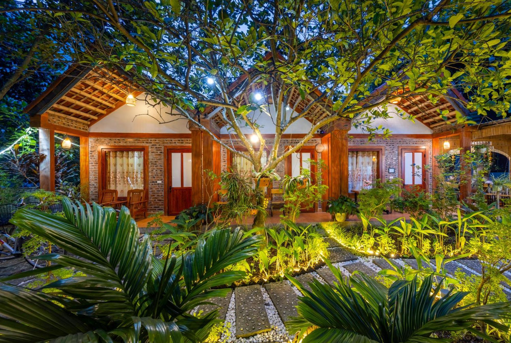 Tam Coc Moonlight Bungalow Van Lam Exteriör bild