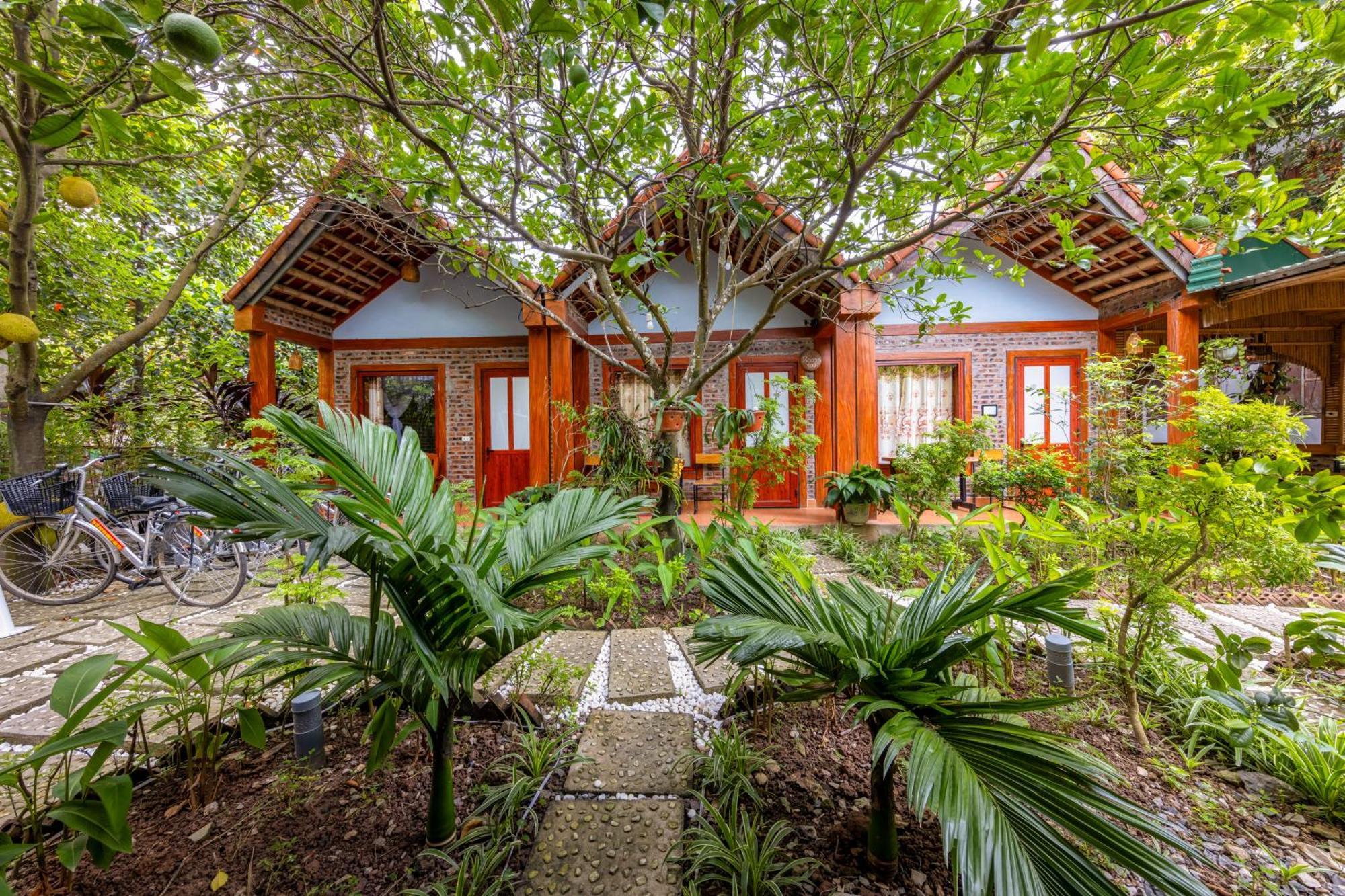 Tam Coc Moonlight Bungalow Van Lam Exteriör bild